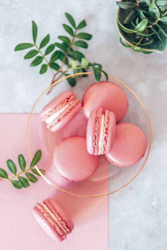 rosa Macarons auf grauem Hintergrund mit Pflanzen