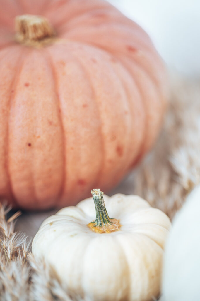 Kürbisbild - Tipps wie du dein Auge für perfekte Food Fotos schulst